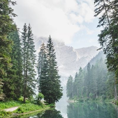 Evergreen blog content: what it is, why you need it and how to create it